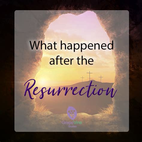 What happened to jesus after the resurrection. Things To Know About What happened to jesus after the resurrection. 